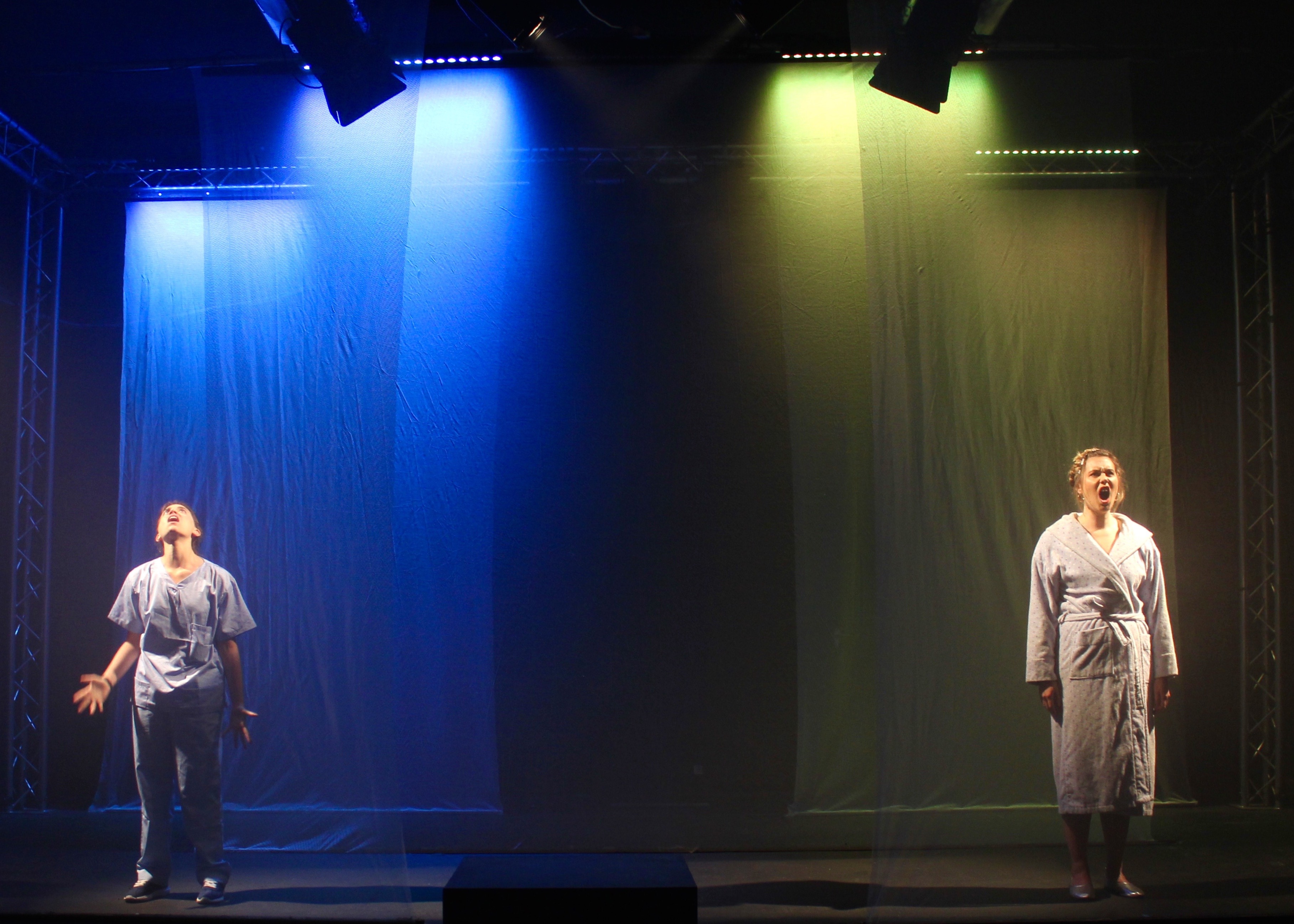 acorn-c-hannah-ellis-1