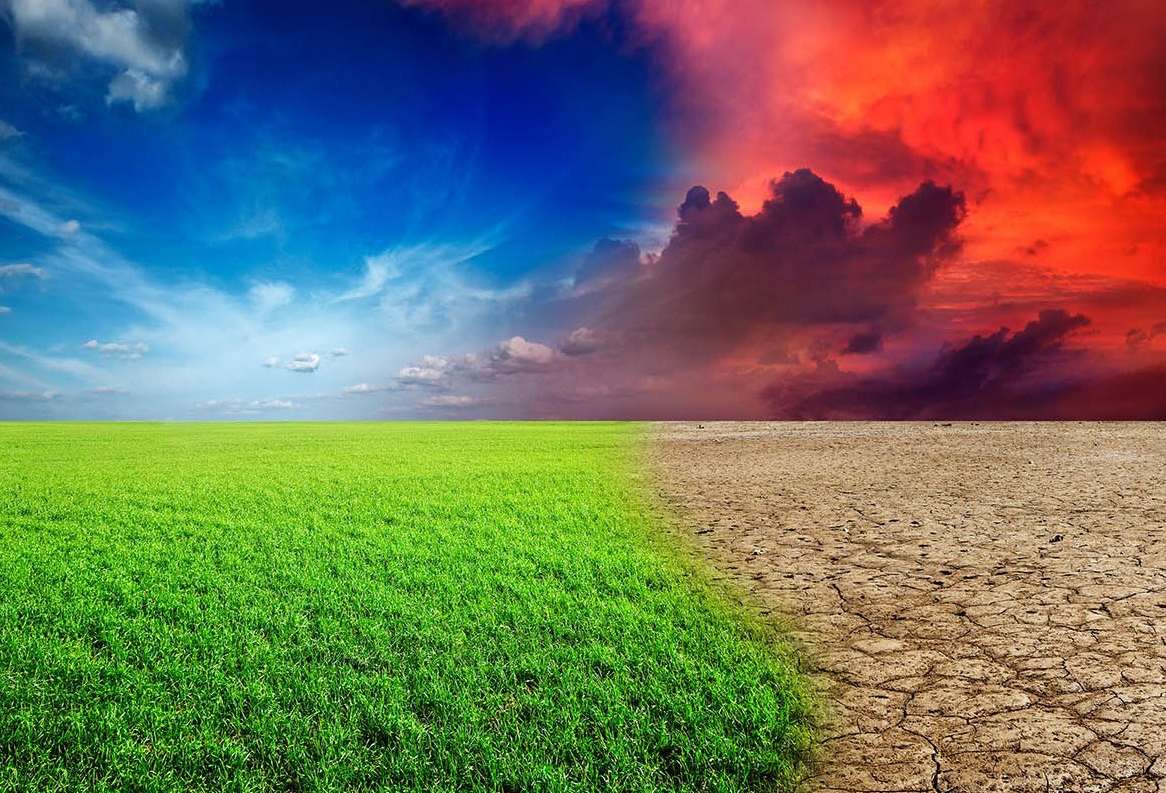 9A5D833B-9137-439D-AA81-94F1FA258A2F