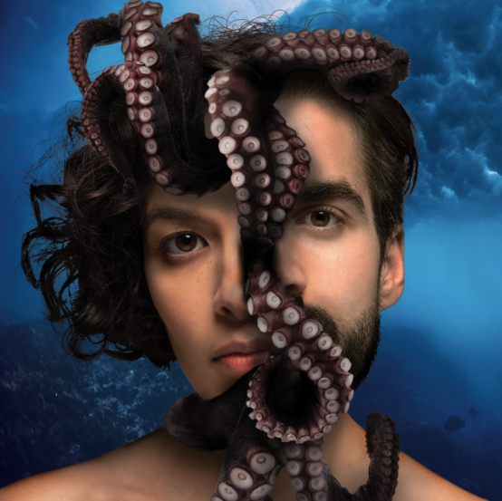 See the source image